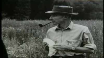 After the Trinity test
and before Hiroshima, - Oppenheimer: The Real Story