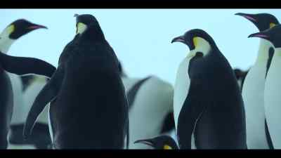 After two long weeks at sea, - Our Oceans