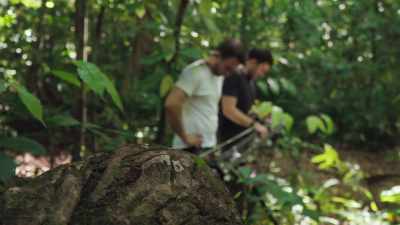 After two weeks in the jungle, - The Green Planet