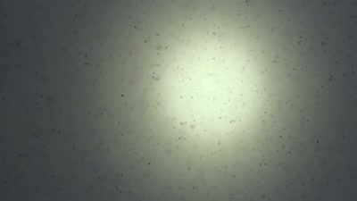 'After weeks
with little energy from the sun - A Year on Planet Earth