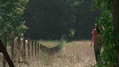 Afternoon. - The Walking Dead