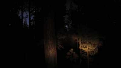Afterwards, I was, like,
in a fetal position - Lost Women of Highway 20