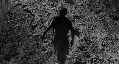 Again I had the sensation of instinct. - The Incredible Shrinking Man