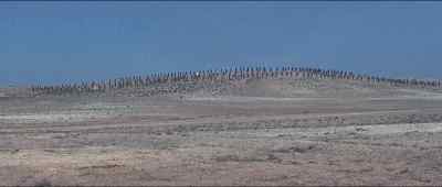 - Again the Israelites.
- Where did they gather so many men? - Solomon and Sheba