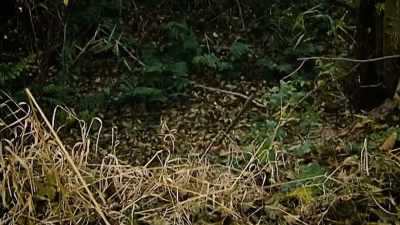 Again, the surrounding
environment - Britain’s Most Evil Killers