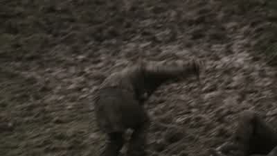 Agghhh! - Vikings