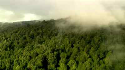 ( Agiel whining )
( groans ) - Legend of the Seeker