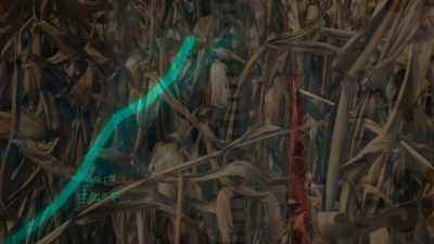 AGRICULTURE WILL BE
COLLAPSING AROUND THE EQUATOR. - Before the Flood