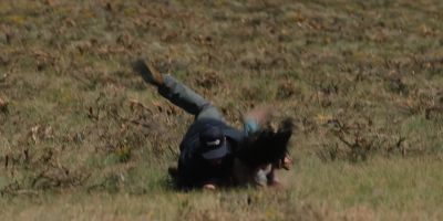 Ah! Ah! - Yellowstone