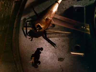 Ah - Bugbomb lost head - Lexx