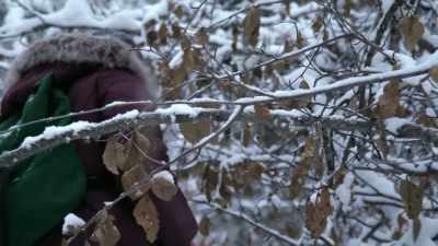Ah, damn. Nothing. - Life Below Zero: Next Generation