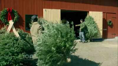 Ah, you gotta know the difference - The Spruces and the Pines