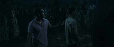 Ah, hell, I'd hazard this stone... - In the Tall Grass