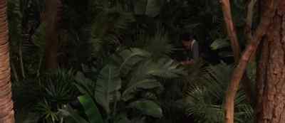 Ah!
He's escaped! - The Jungle Book