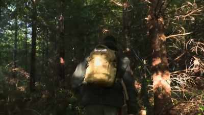Ah, look at this little trail,
perfect position. - Expedition Bigfoot