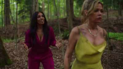 Ah, maybe there are some
things I haven't told you - Hunting Housewives