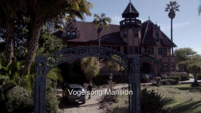 Ah, you mean morally.
Well, we've been called in, - The Mentalist