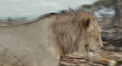 Ah... Mmm... Vuta Pumzi. Sarabi. - Mufasa: The Lion King