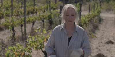 Ah, never mind, um, - Under the Vines