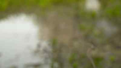 -Ah! Oh, that sucks.
-Oh, man. Man, bro. - Swamp People