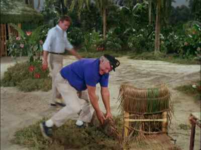 AH! THAT'S JUST WHAT
I WAS LOOKING FOR. - Gilligan's Island