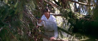 Ah we threw the racket up to get the birdie - I Q