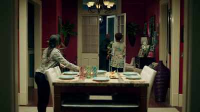 Ah, tulips,
my favorite. - Queen Sugar