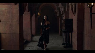 Ah. What's the hurry, my dear? - The Witcher