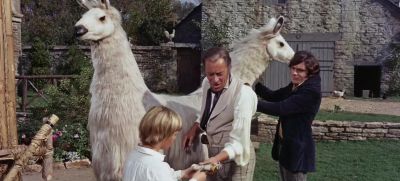 Ah yes it's from Long Arrow I should have guessed - Doctor Dolittle