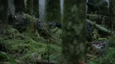 Ahh! Come on! Come on! Get her to safety! Now! I'll only slow you down. Go! Just go! You've got to g - Arrow