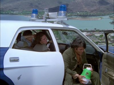 AHH. - Hawaii Five-O