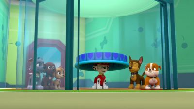 Ahh... way cool pool rules! - PAW Patrol