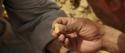 -[Ahmed] Where do the bones go?
-[Mustafa] I don't know. - Secrets of the Saqqara Tomb