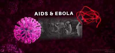 AIDS and the Ebola virus
are believed to have come - Eating Our Way to Extinction