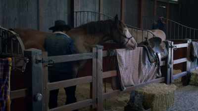 Aimée likes Christmas
even more than you do. - Mistletoe Ranch