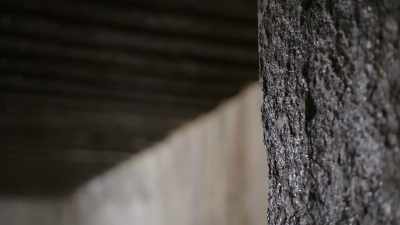 Aimey: It would have required
a significant amount - Secret Nazi Ruins