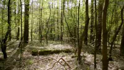 Aimey: They essentially
utilized existing footpaths, - Secret Nazi Ruins