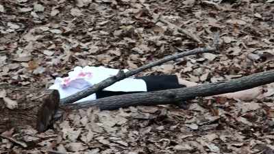Ainsworth:
THEY REALIZE IT'S A BODY, - Bloodlands