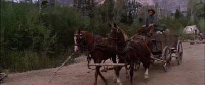 Ain't that kinda dumb after what happened last time - Pale Rider