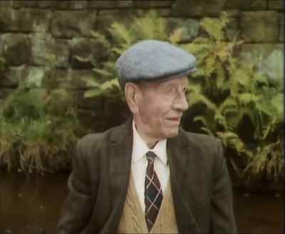 AIR HISSES - Last of the Summer Wine