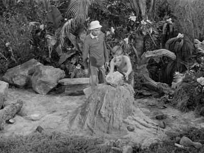 [air hissing] - Gilligan's Island