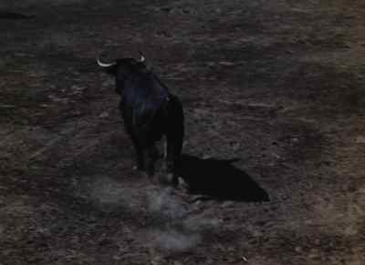 Ajá. ¡Ajá, toro! - Blood and Sand