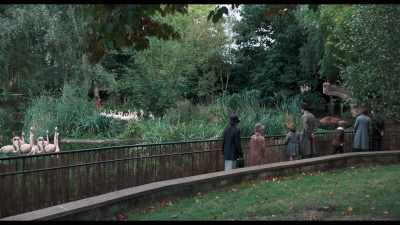 ALAN: What's your favorite,
favorite animal - Goodbye Christopher Robin