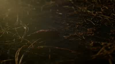 ALARIC: Hope's right. - Legacies