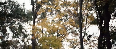 (alarm beeping) - Deep Woods