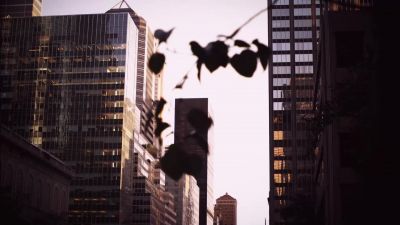 [alarm beeps] - White Collar