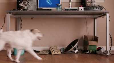 [alarm blaring] - Pups Alone