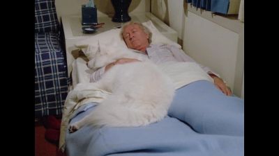 [ Alarm clock ringing ] - The Love Boat