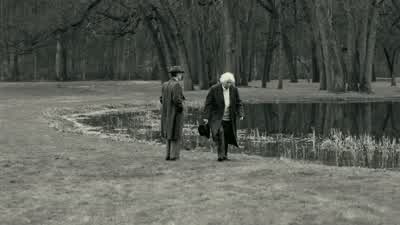 Albert. - Oppenheimer