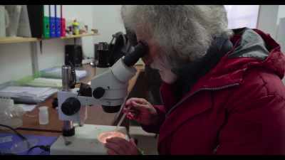 Alberto is a biologist... - Dogs
